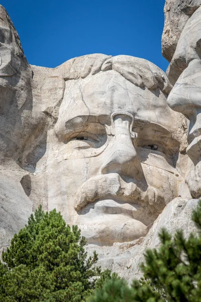 Bust Theodore Roosevelt Mount Rushmore National Monument 로열티 프리 스톡 사진