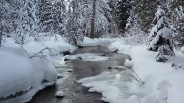 Buzlu kış nehri üzerinde hava aracı uçuşu