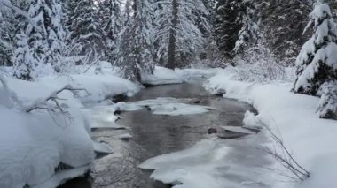 Hava aracı buzlu kış nehrinin üzerinden geriye doğru uçuyor.