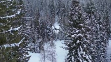 Ormanın içinden binalara doğru uç