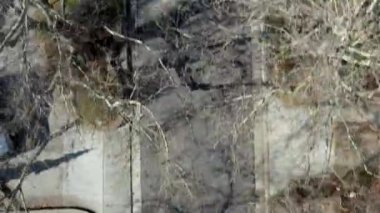 Ağaçlarla kaplı caddede koşan koşucunun başındaki hava.