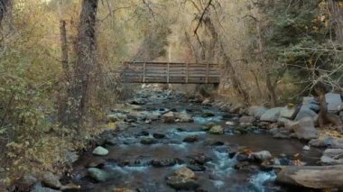 Dolly, Sonbaharda Dağlarda Nehirden Geçer