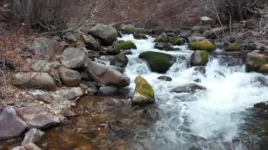 Kışın Dolly Dağ Nehri 'nin karşısında