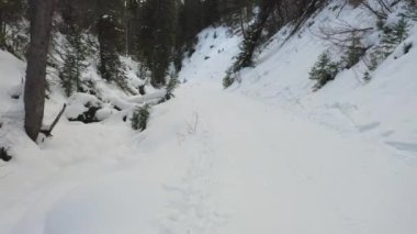 Kışın Karlı Dağ Yolu 'nda Alçak Hava Uçuşu