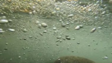 Akan Nehirde Su Altında Kabarcıklar Yavaş Çekimde Kameraya Yaklaşıyor