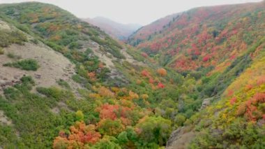 Sonbahar yaprakları ile dağ kanyonu üzerinde İHA uçuşu
