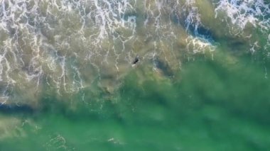 İHA Hava Aracı Siyah Yüzgeçli Bir Sörfçünün Üzerinde Dalgalara Açılıyor