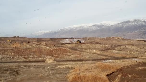 Aerial Flight Landfill Dump Birds Circling Bulldozer Pushing Trash — Stockvideo