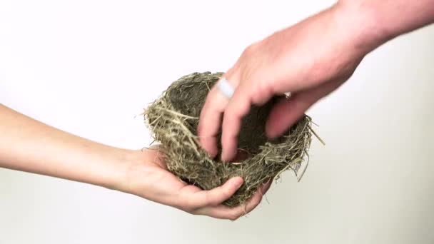 Man Hand Takes Money Nest — Stock video