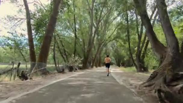 Homem Correndo Trilha Floresta Arborizada — Vídeo de Stock