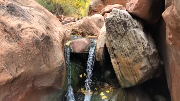 Water Falling Red Rocks Zion National Park Slow Motion — Vídeo de Stock
