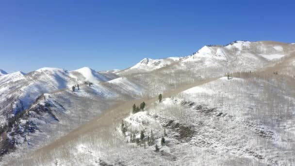 Drone Aereo Sopra Foresta Invernale Innevata Giorno — Video Stock