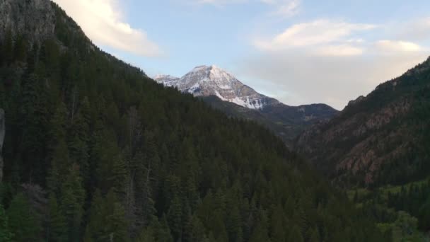 Aerial Right Forest Facing Ridge Revealing Mountain Peak — ストック動画