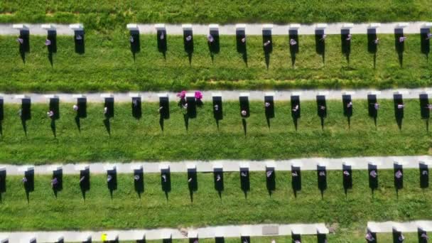 Drone Aerial Military Cemetery Flying Rows Headstones — Stock video