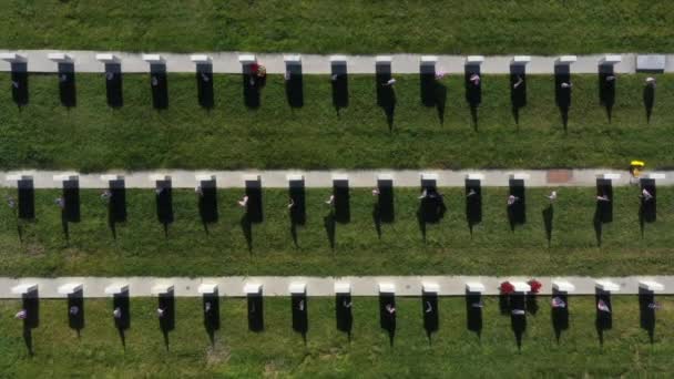 Dron Nad Cmentarzem Wojskowym Przelatujący Nad Rzędami Nagrobków — Wideo stockowe