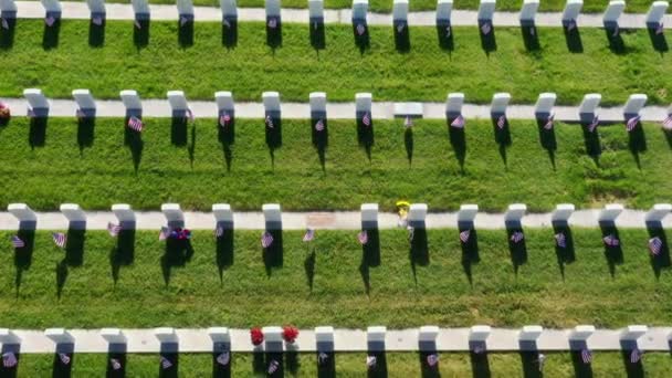 Drone Aerial Military Cemetery Flying Rows Headstones — ストック動画