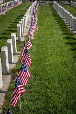 Anma Günü için Amerikan bayraklarıyla süslenmiş askeri mezar taşları.