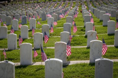 Anma Günü için Amerikan bayraklarıyla süslenmiş askeri mezar taşları.