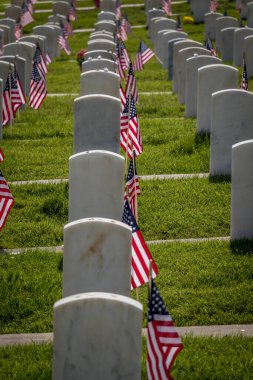 Anma Günü için Amerikan bayraklarıyla süslenmiş askeri mezar taşları.