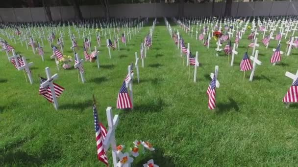 Dolly Military Cemetery Crosses — Stockvideo