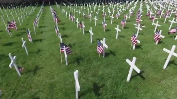Fast Dolly Military Crosses Cemetery — Stockvideo