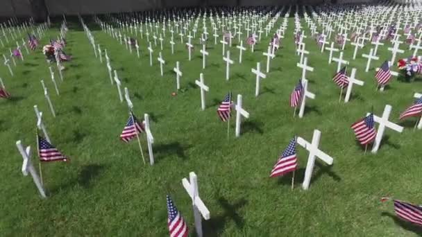 High Angle Dolly Military Cemetery Crosses — Stockvideo