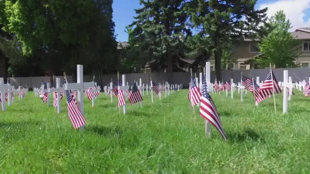 Paso Ángulo Bajo Por Cruces Militares Cementerio — Vídeos de Stock