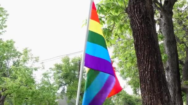 Rainbow Gay Pride Flag Wind — Stock Video