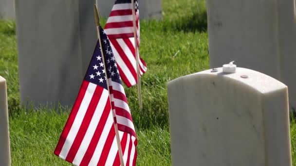Uitzoomen Naar Militaire Grafstenen Versierd Met Amerikaanse Vlaggen Voor Memorial — Stockvideo