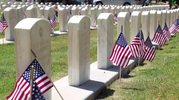 Military Cemetery Headstones Decorated American Flags Memorial Day — 图库视频影像