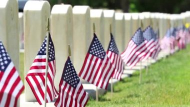 Military Cemetery With Headstones Decorated With American Flags for Memorial Day