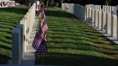 Military Cemetery With Headstones Decorated With American Flags for Memorial Day
