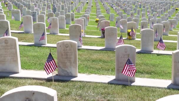 Military Cemetery Headstones Decorated American Flags Memorial Day — Stok video