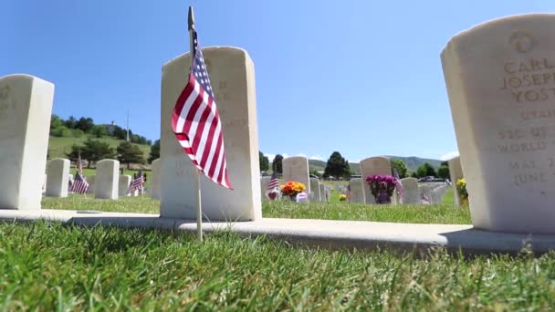 Military Cemetery Headstones Decorated American Flags Memorial Day — Video Stock
