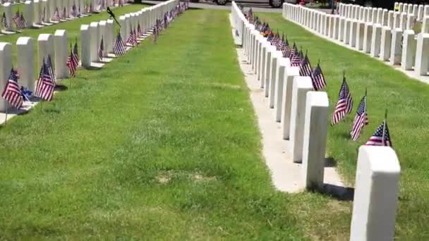 Military Cemetery Headstones Decorated American Flags Memorial Day — Vídeo de Stock