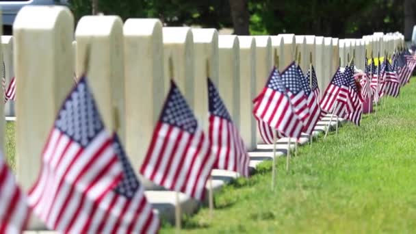 Στρατιωτικό Νεκροταφείο Επιτύμβιες Στήλες Διακοσμημένες Αμερικανικές Σημαίες Για Την Ημέρα — Αρχείο Βίντεο