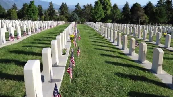 Military Cemetery Headstones Decorated American Flags Memorial Day — ストック動画