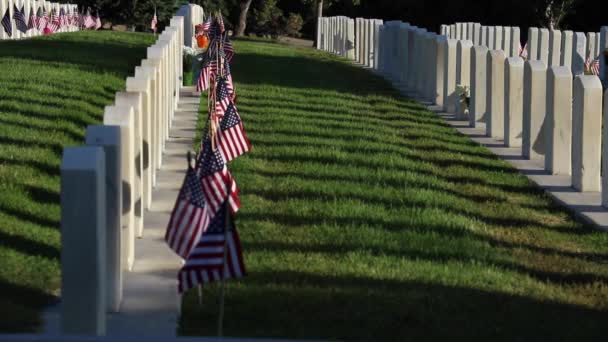 Військове Кладовище Надгробками Прикрашеними Американськими Прапорами День Пам Яті — стокове відео