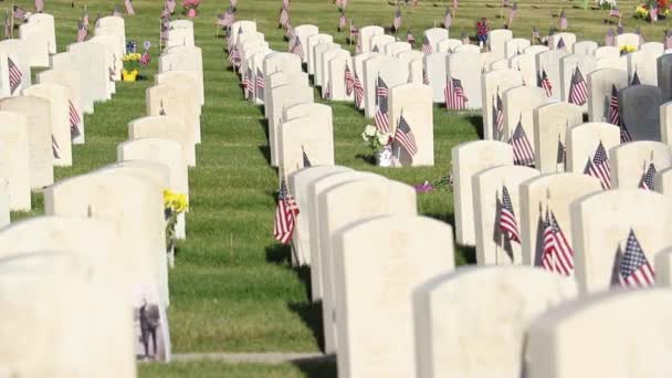 Military Cemetery Headstones Decorated American Flags Memorial Day — Vídeo de Stock