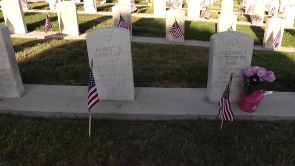 Cimitero Militare Con Lapidi Decorate Con Bandiere Americane Memorial Day — Video Stock