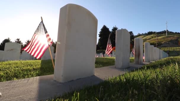 Military Cemetery Headstones Decorated American Flags Memorial Day — Stock Video