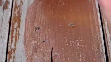 Lekelenmiş odunları kapatın.