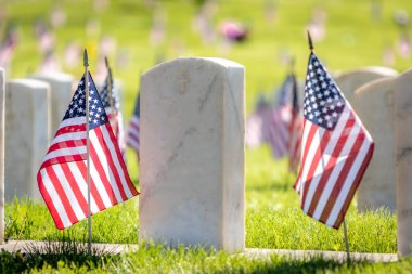 Anma Günü için Amerikan bayraklarıyla süslenmiş silahlı kuvvetler mensuplarını onurlandıran askeri mezar taşları.