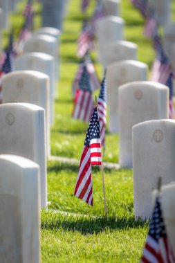 Anma Günü için Amerikan bayraklarıyla süslenmiş silahlı kuvvetler mensuplarını onurlandıran askeri mezar taşları.