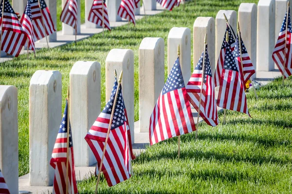 Military Headstones Honoring Armed Forces Servicemen Decorated American Flags Memorial — Stock Photo, Image