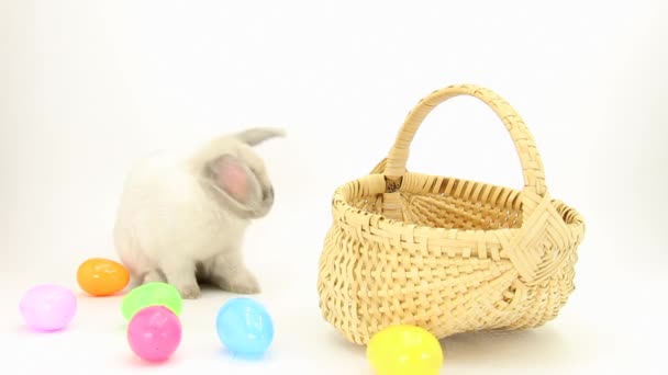 Conejo Con Huevos Pascua Cesta — Vídeos de Stock
