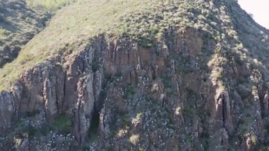 Açık alan, Baja yeşil doğa vadisinden ve Dudleyas 'tan sorunsuz bir yolculuk.