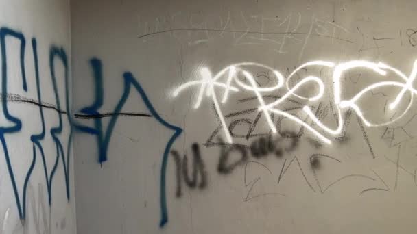 Graffiti Vandalizmus Nyilvános Fürdőszoba Zöld Terület — Stock videók