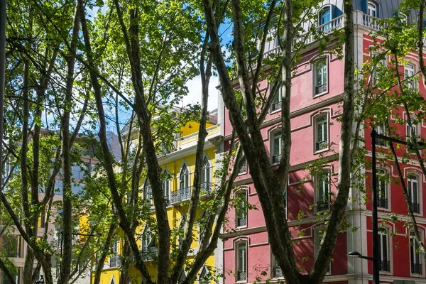 Liberty avenue with green path. Lisboa, Portugal. 