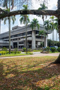 Pereira, Risaralda, Kolombiya. 3 Şubat 2022: Ağaçlı Risaralda Devlet Binası. 